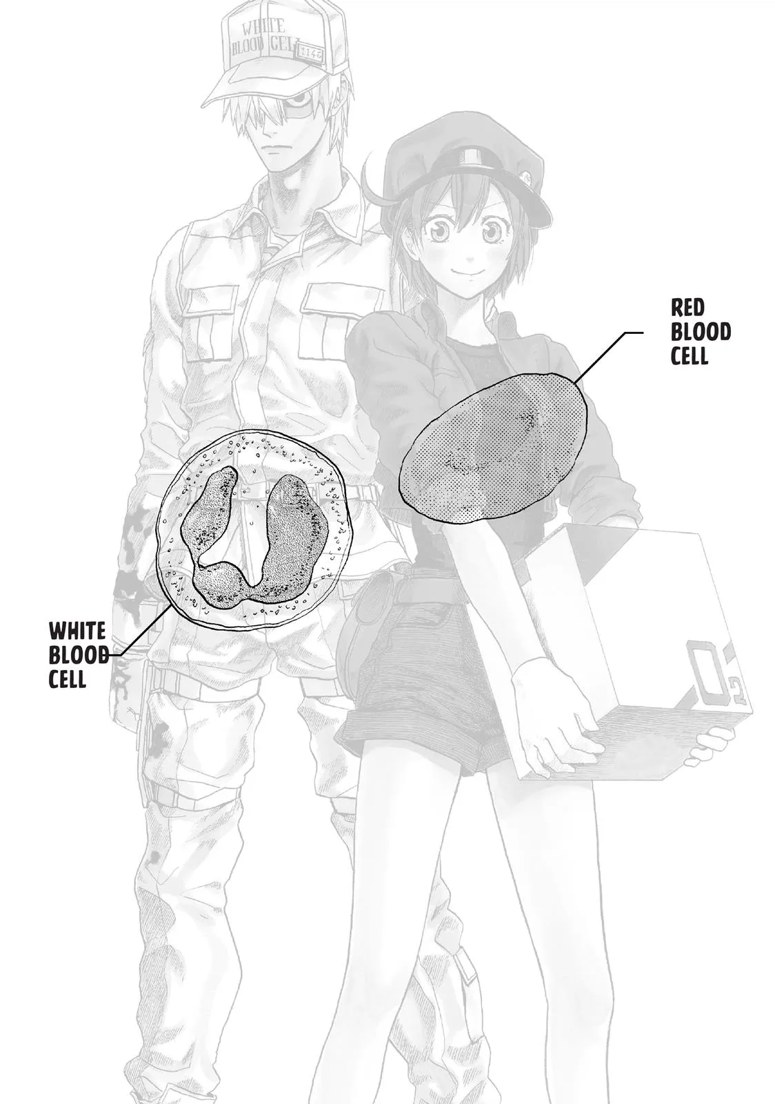 Read Cells at Work! (en) Manga Online