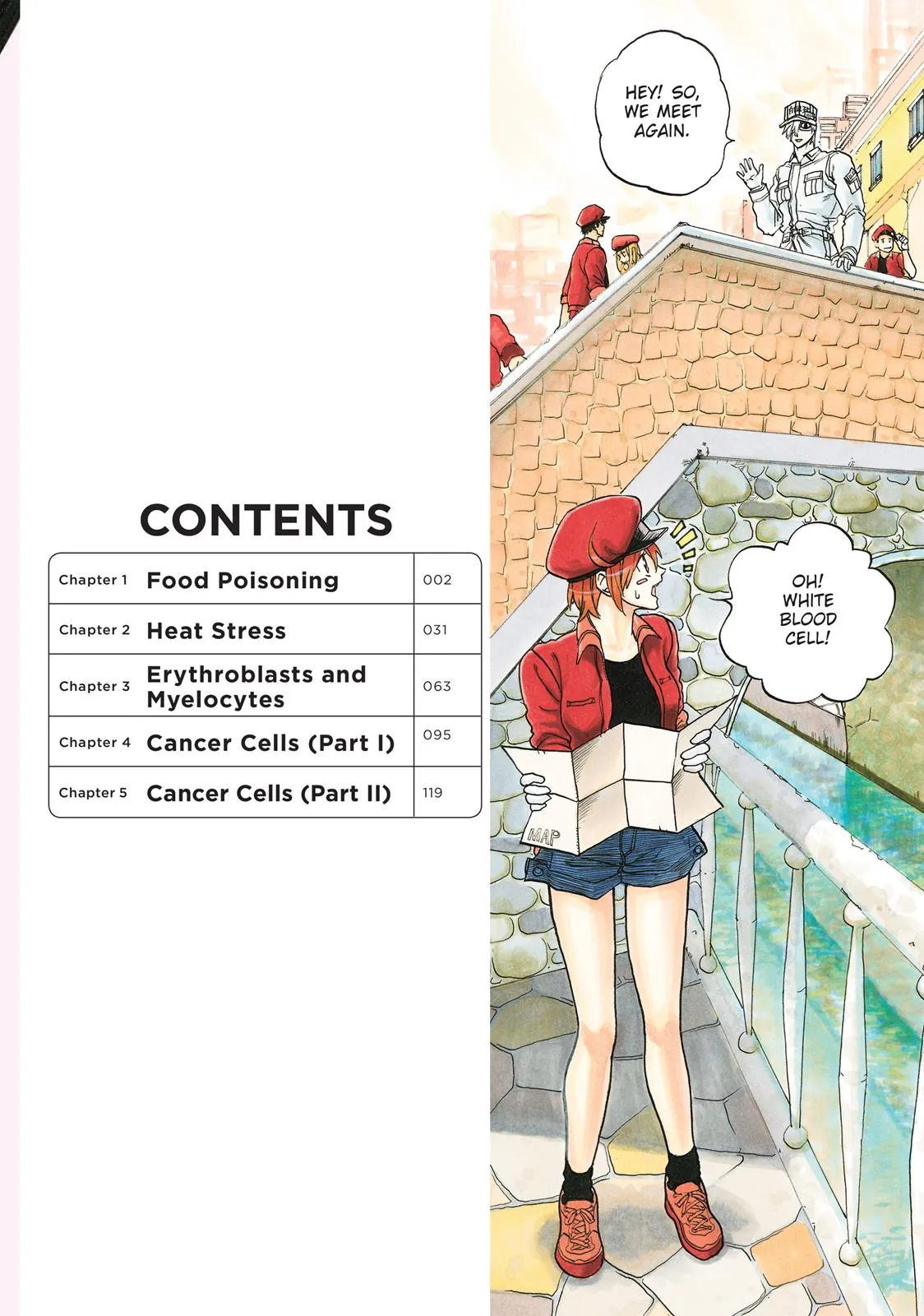 Read Cells at Work! (en) Manga Online