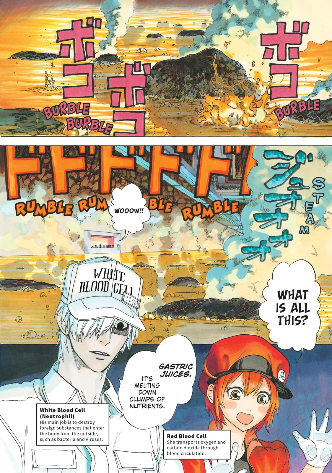 Read Cells at Work! (en) Manga Online
