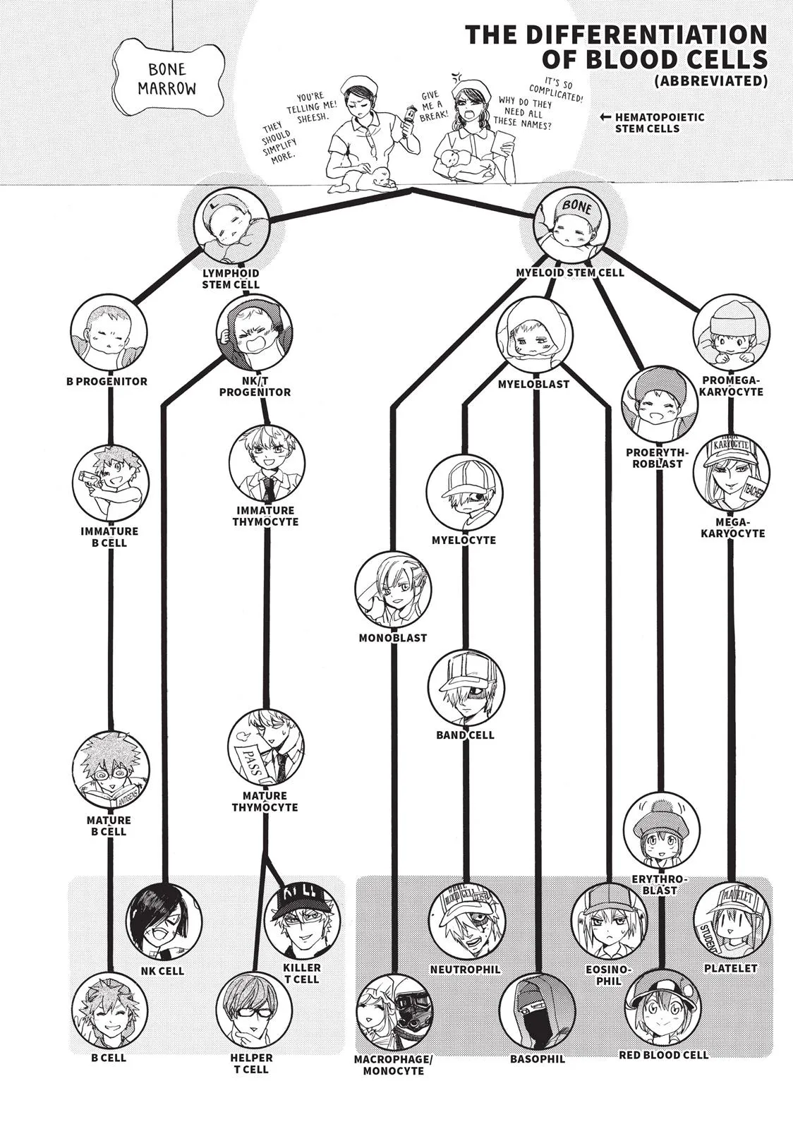 Read Cells at Work! (en) Manga Online