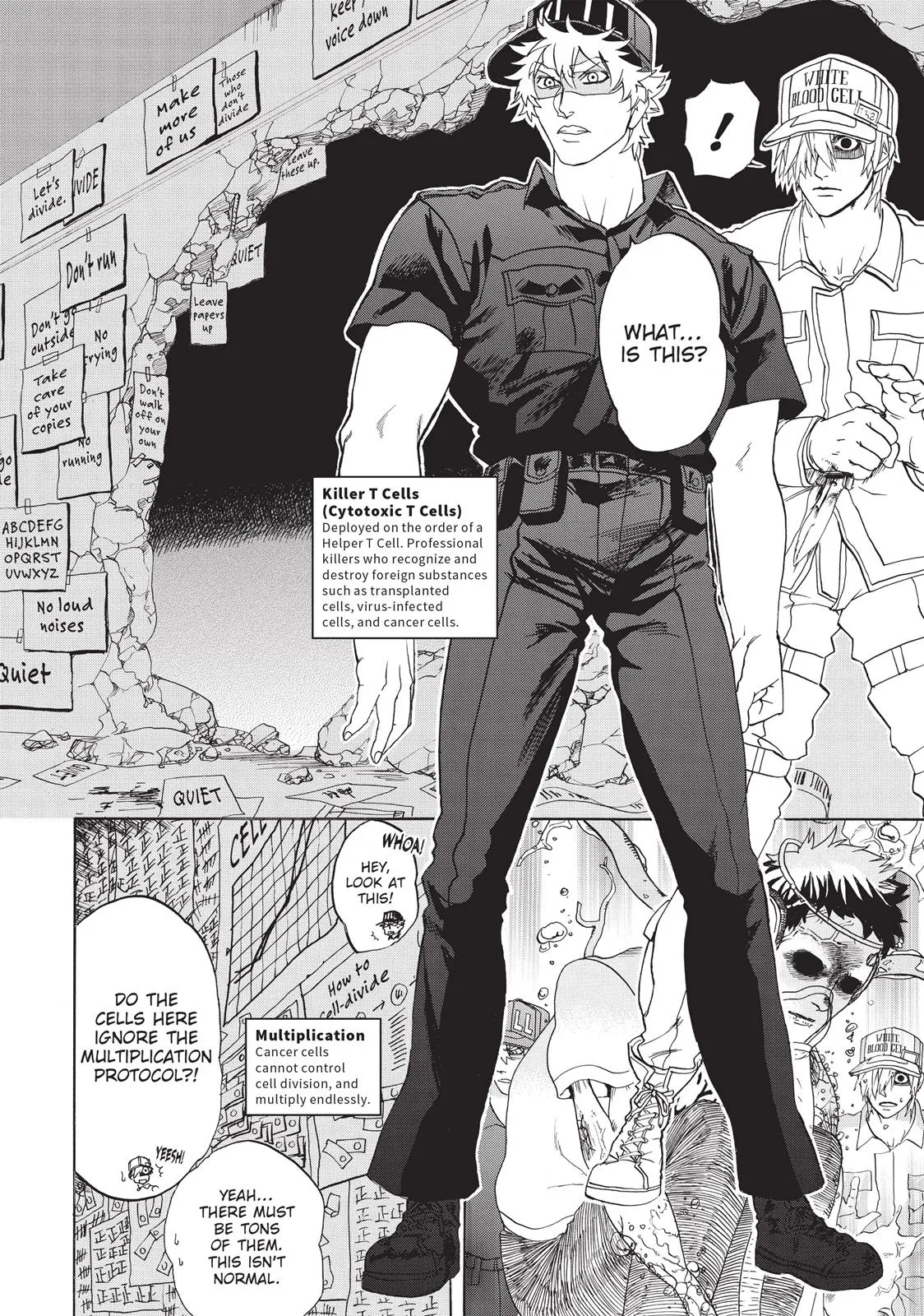 Read Cells at Work! (en) Manga Online