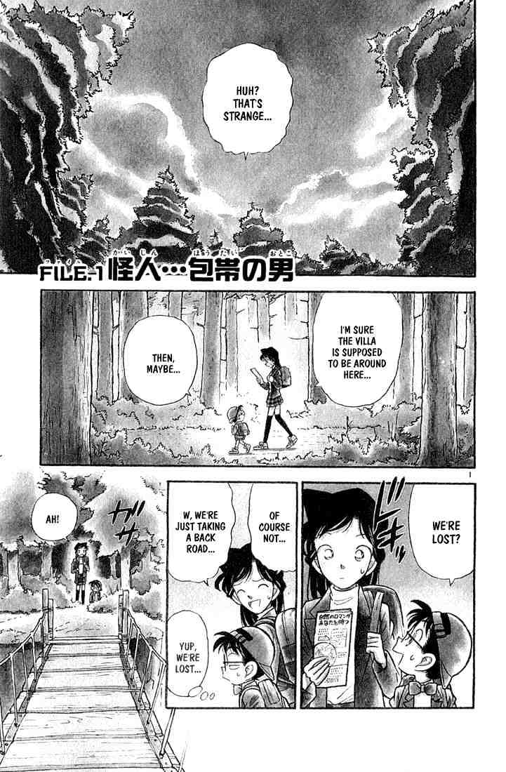 Read Detective Conan (en) Manga Online