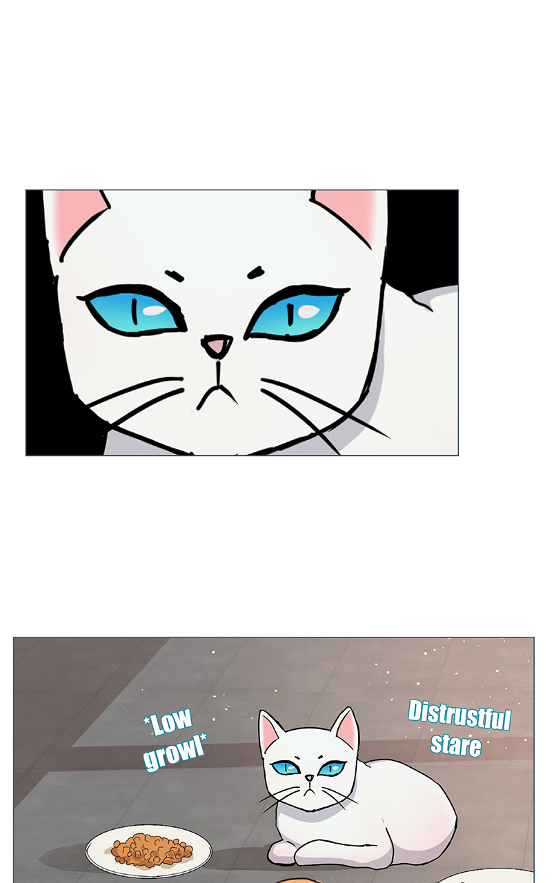 Read Freaking Romance (en) Manga Online