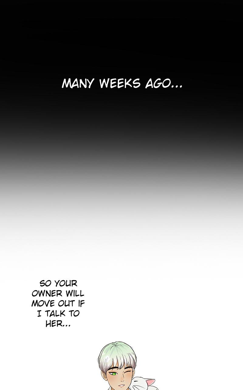 Read Freaking Romance (en) Manga Online