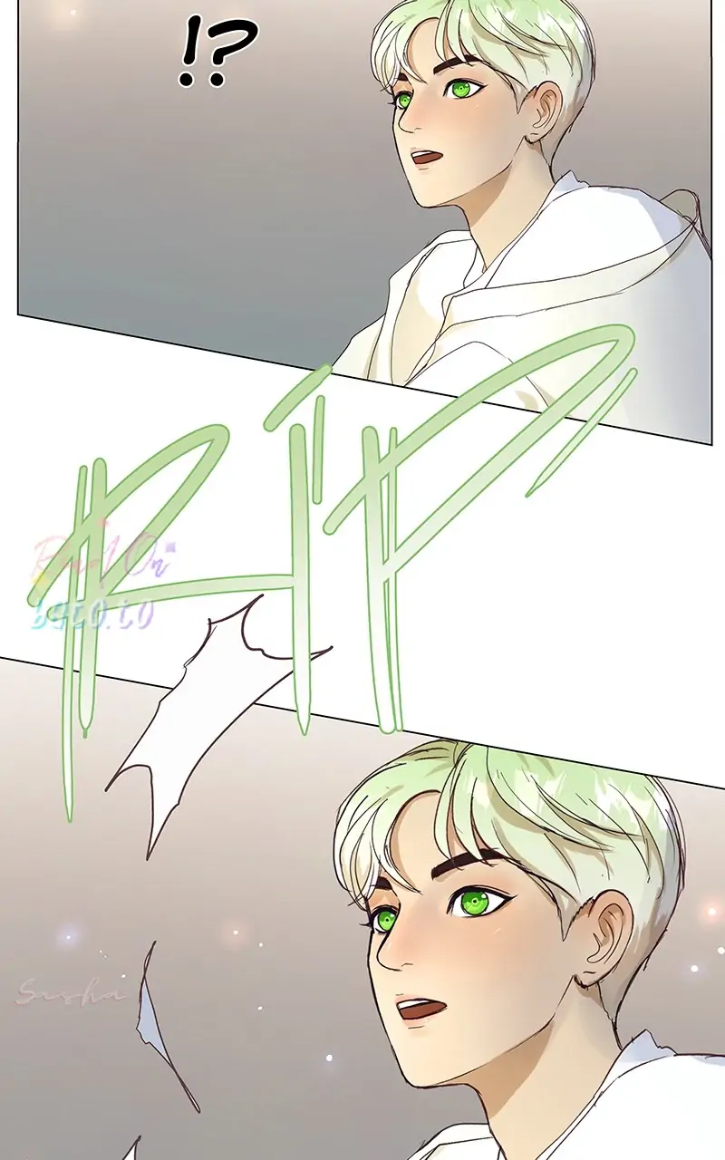 Read Freaking Romance (en) Manga Online