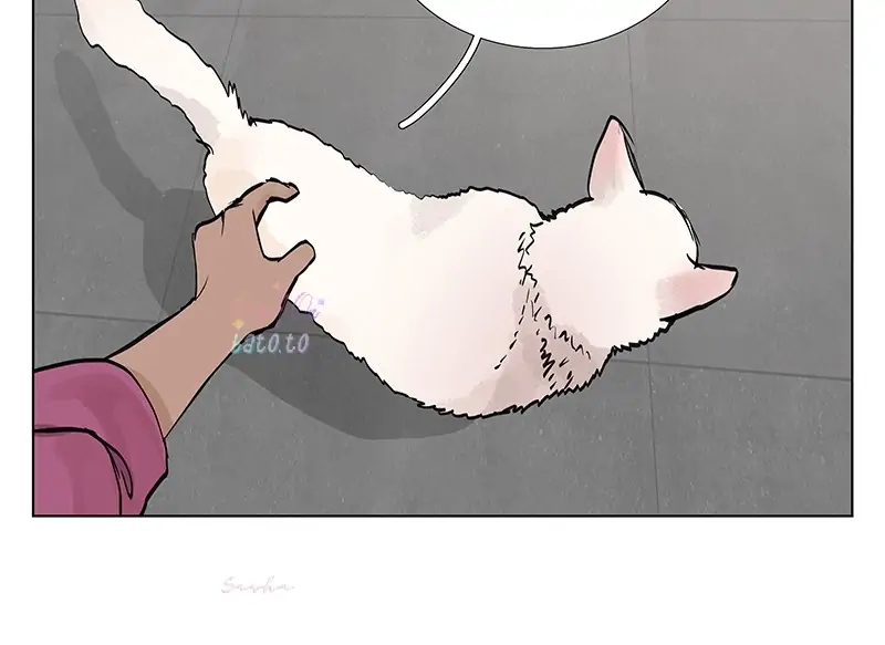 Read Freaking Romance (en) Manga Online