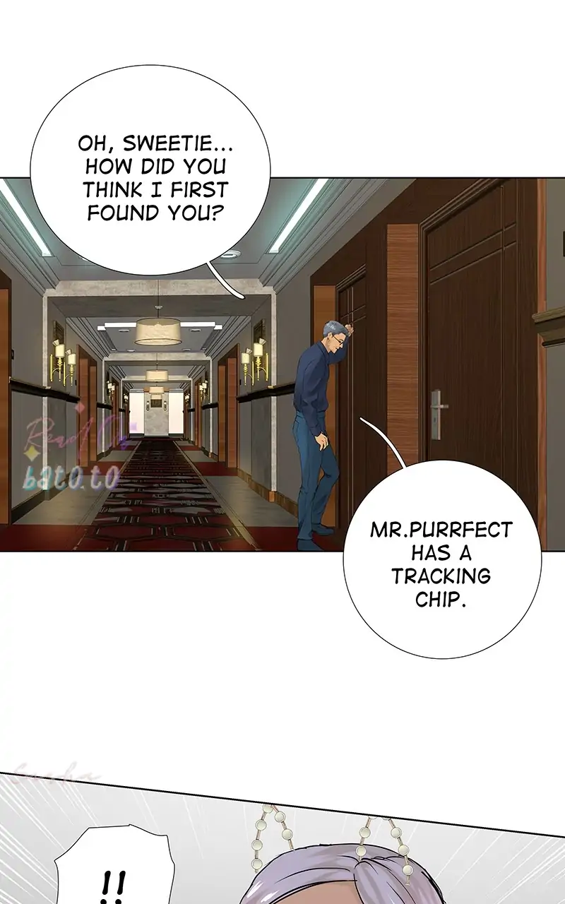 Read Freaking Romance (en) Manga Online