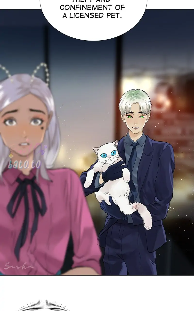 Read Freaking Romance (en) Manga Online