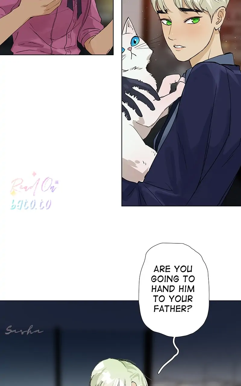 Read Freaking Romance (en) Manga Online