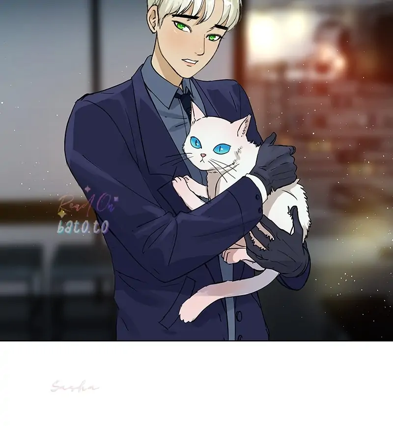 Read Freaking Romance (en) Manga Online