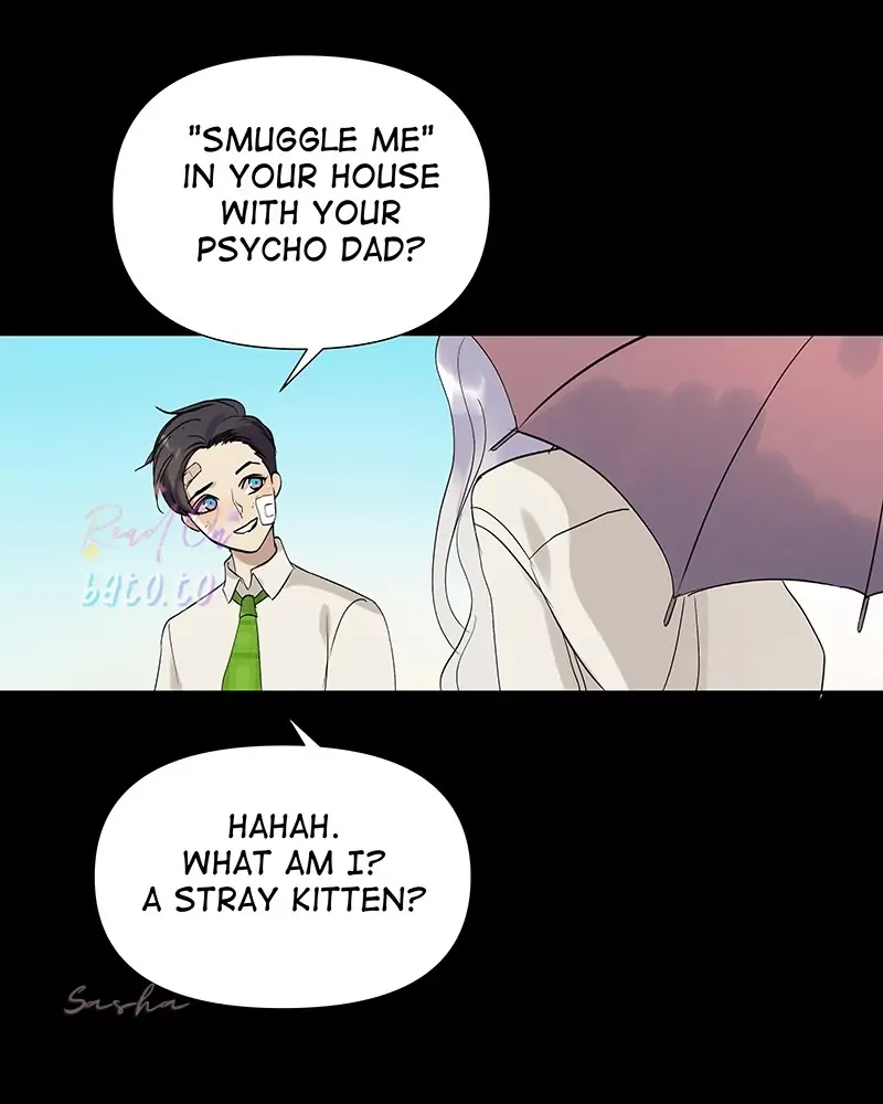 Read Freaking Romance (en) Manga Online