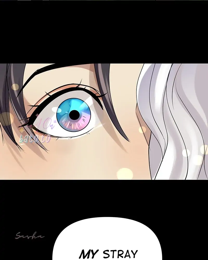 Read Freaking Romance (en) Manga Online