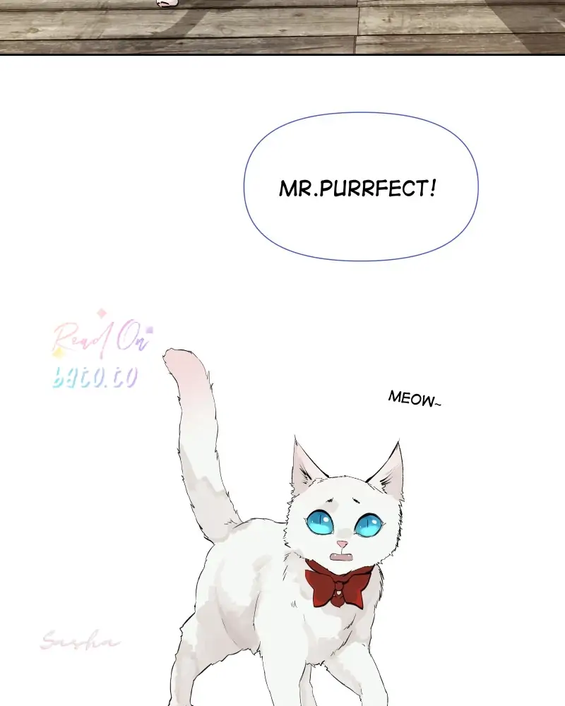 Read Freaking Romance (en) Manga Online