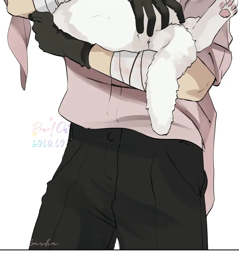 Read Freaking Romance (en) Manga Online