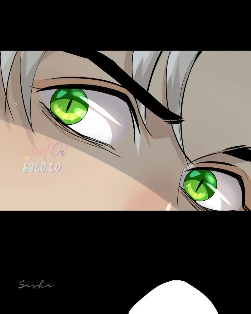 Read Freaking Romance (en) Manga Online