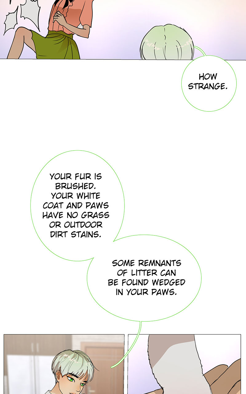 Read Freaking Romance (en) Manga Online