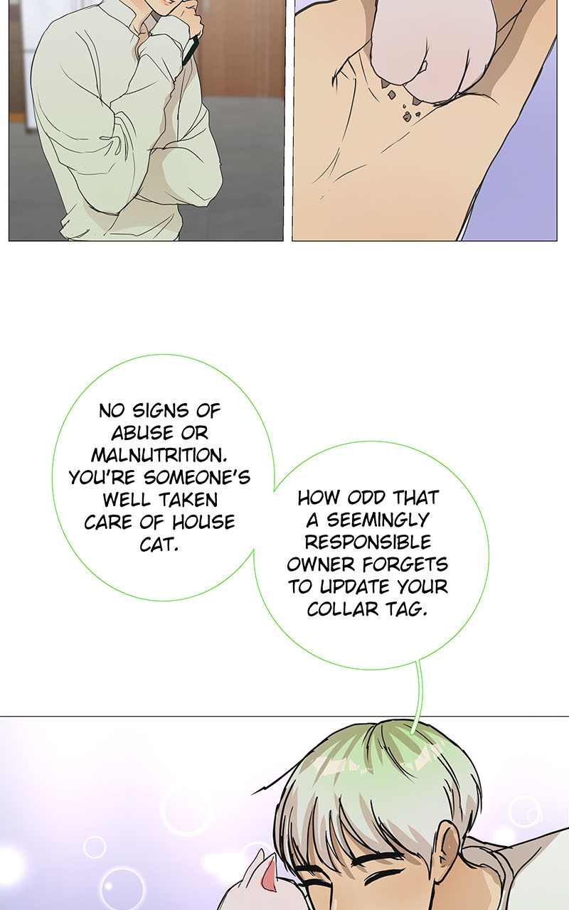 Read Freaking Romance (en) Manga Online