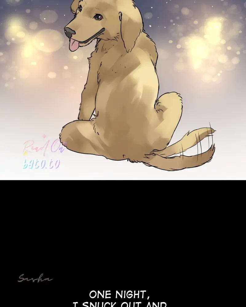 Read Freaking Romance (en) Manga Online