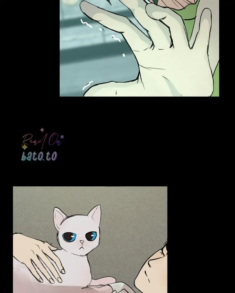 Read Freaking Romance (en) Manga Online