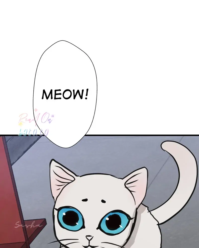 Read Freaking Romance (en) Manga Online