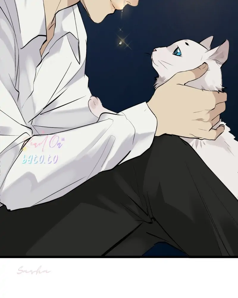 Read Freaking Romance (en) Manga Online