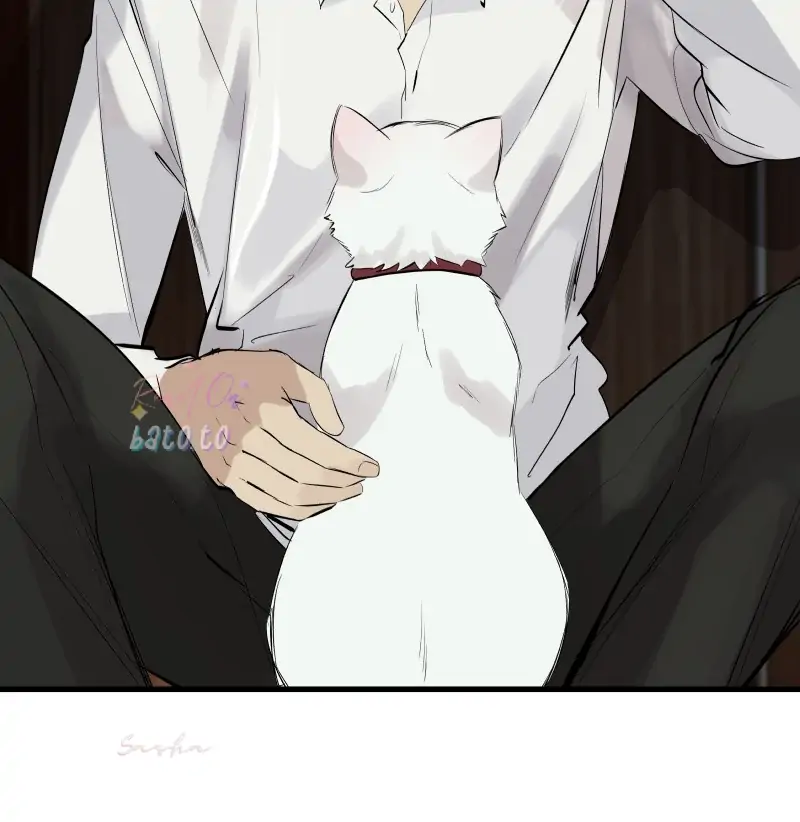 Read Freaking Romance (en) Manga Online