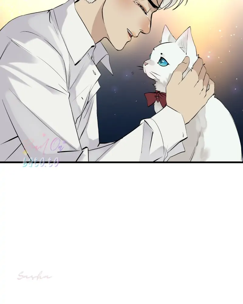 Read Freaking Romance (en) Manga Online