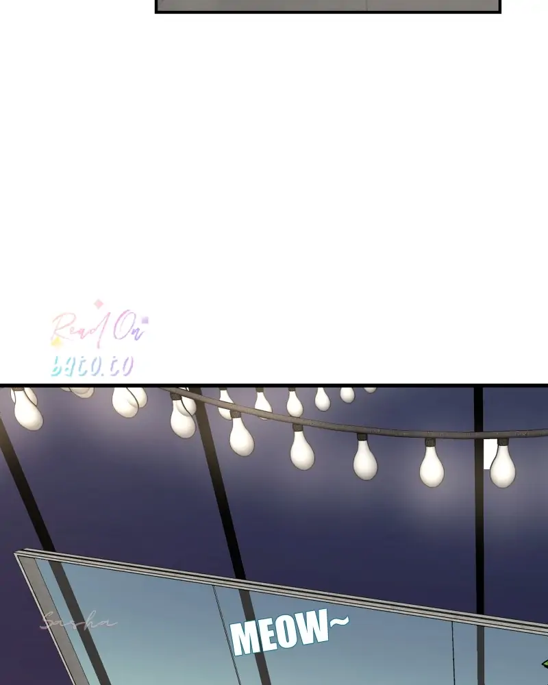 Read Freaking Romance (en) Manga Online