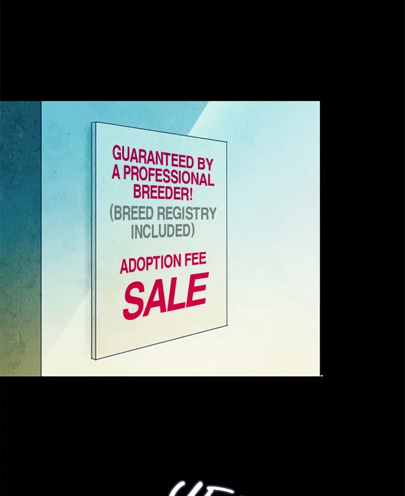 Read Ghost Teller (en) Manga Online