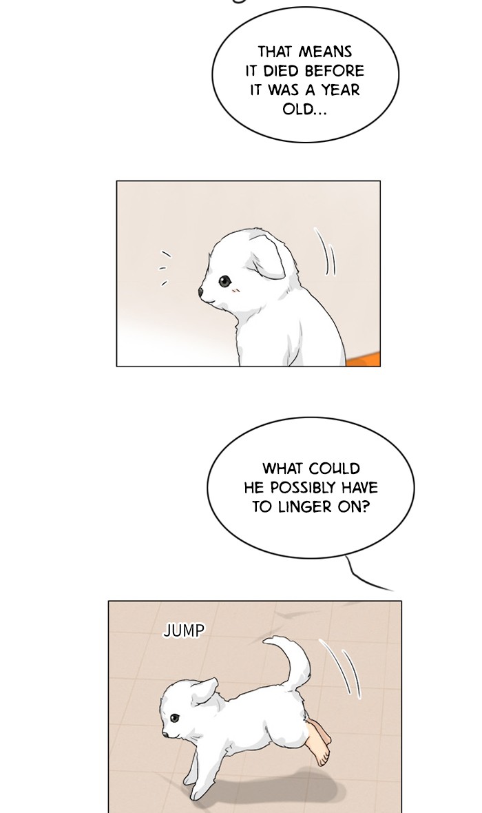 Read Ghost Wife (en) Manga Online