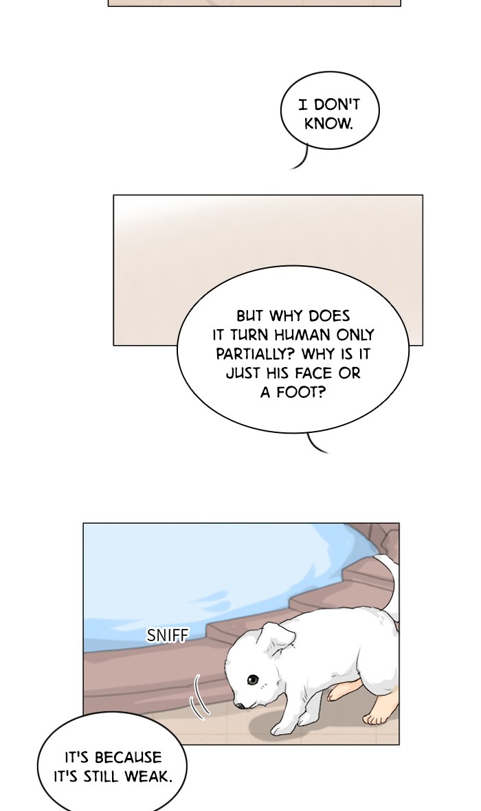 Read Ghost Wife (en) Manga Online