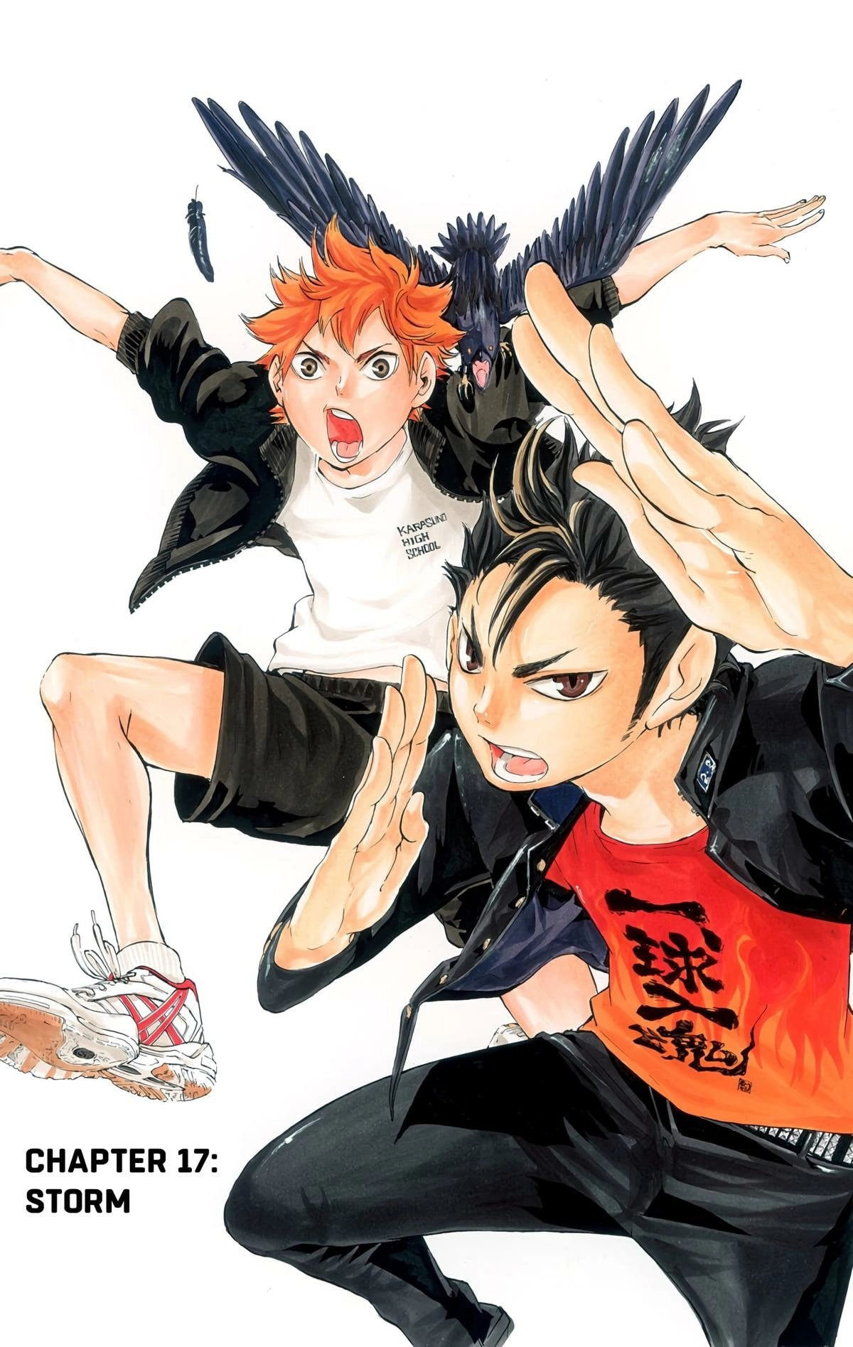 Read Haikyu!! (en) Manga Online