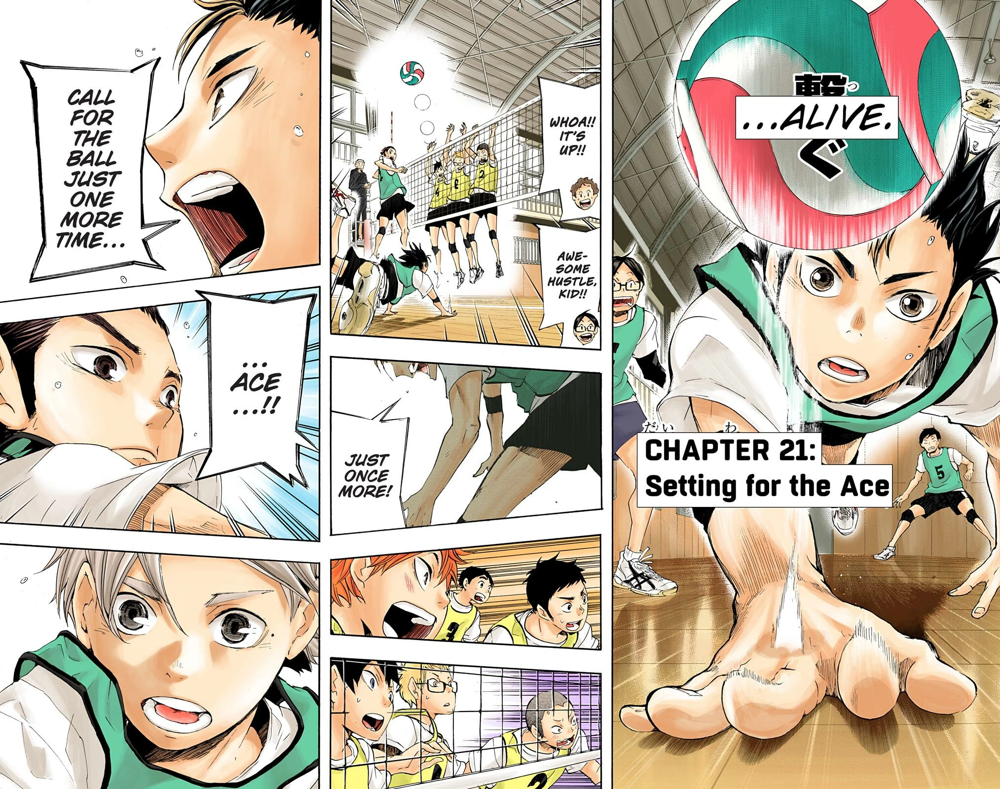 Read Haikyu!! (en) Manga Online