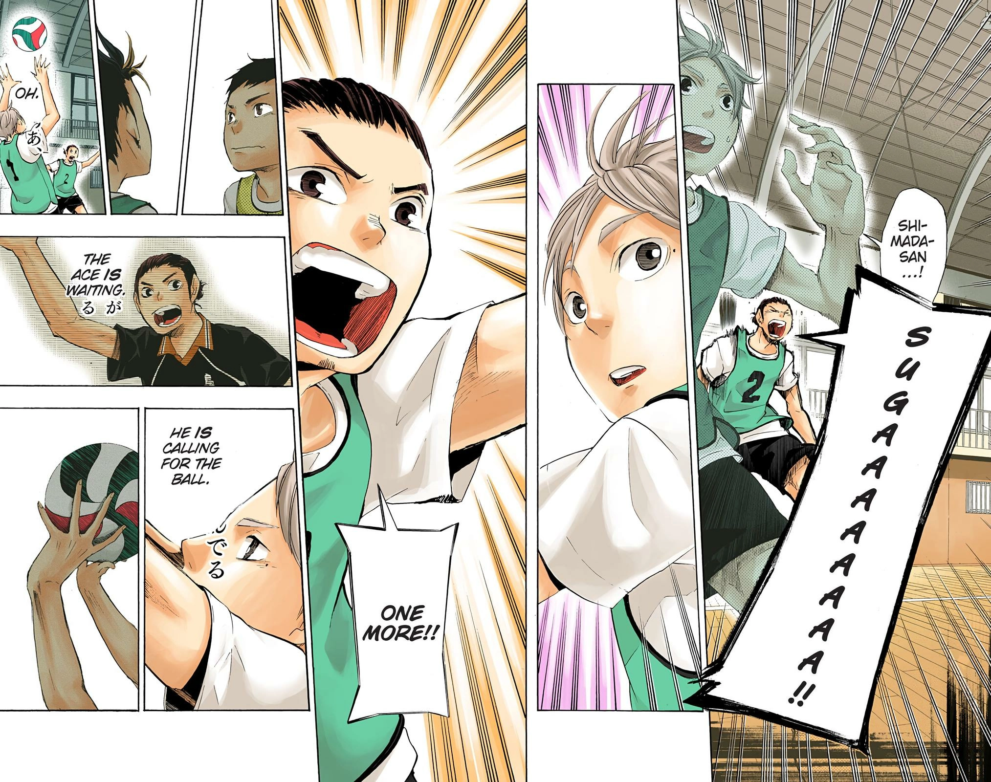 Read Haikyu!! (en) Manga Online