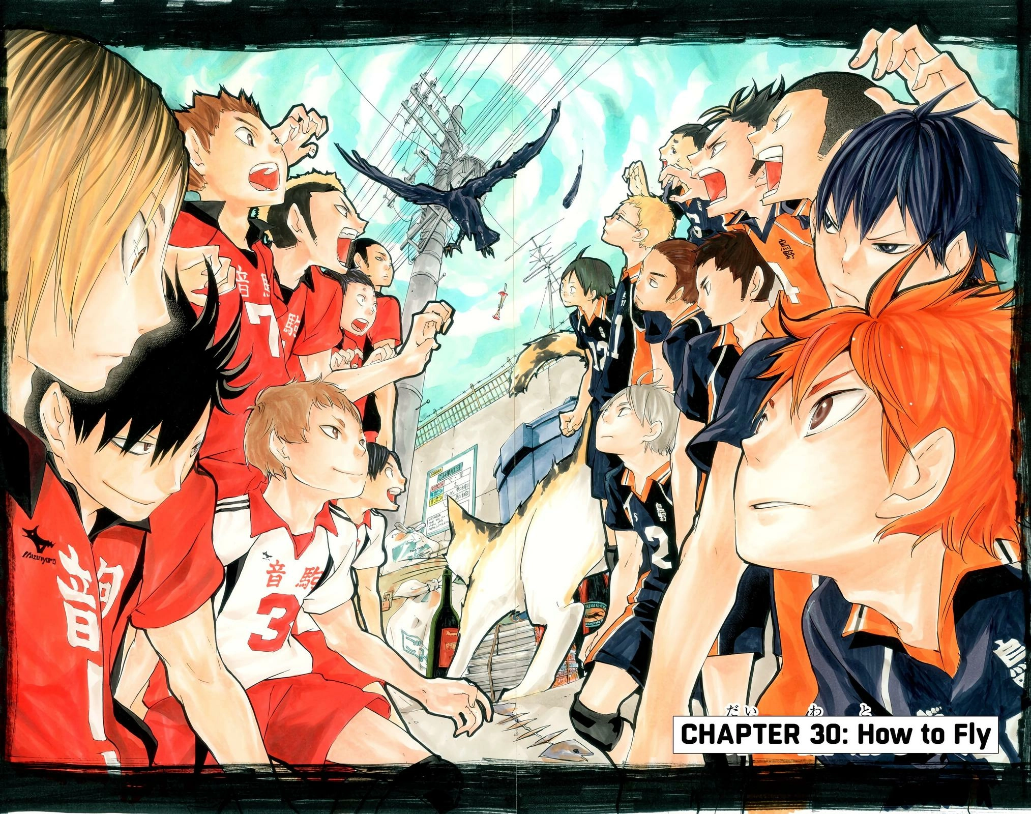 Read Haikyu!! (en) Manga Online
