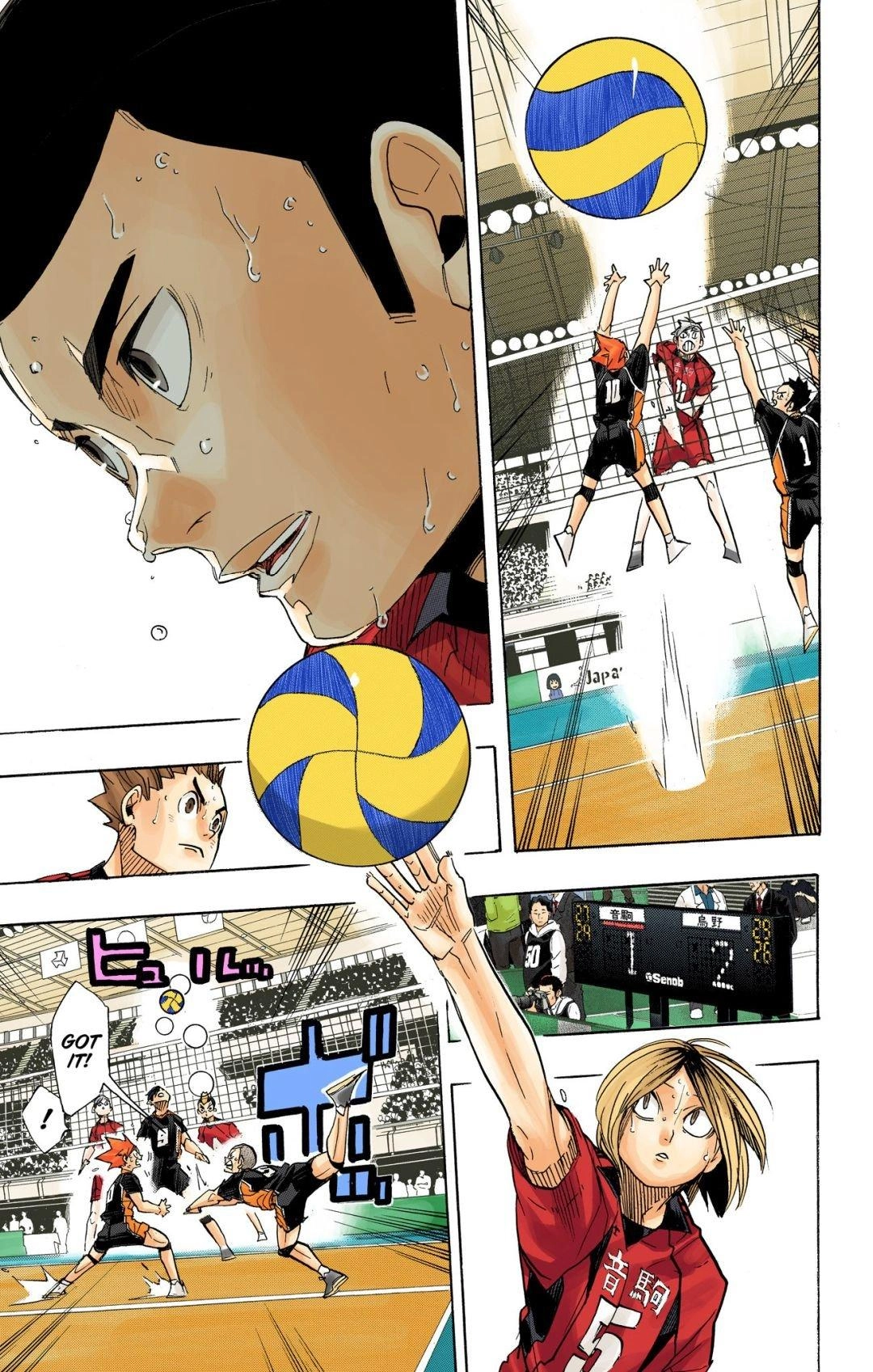 Read Haikyu!! (en) Manga Online