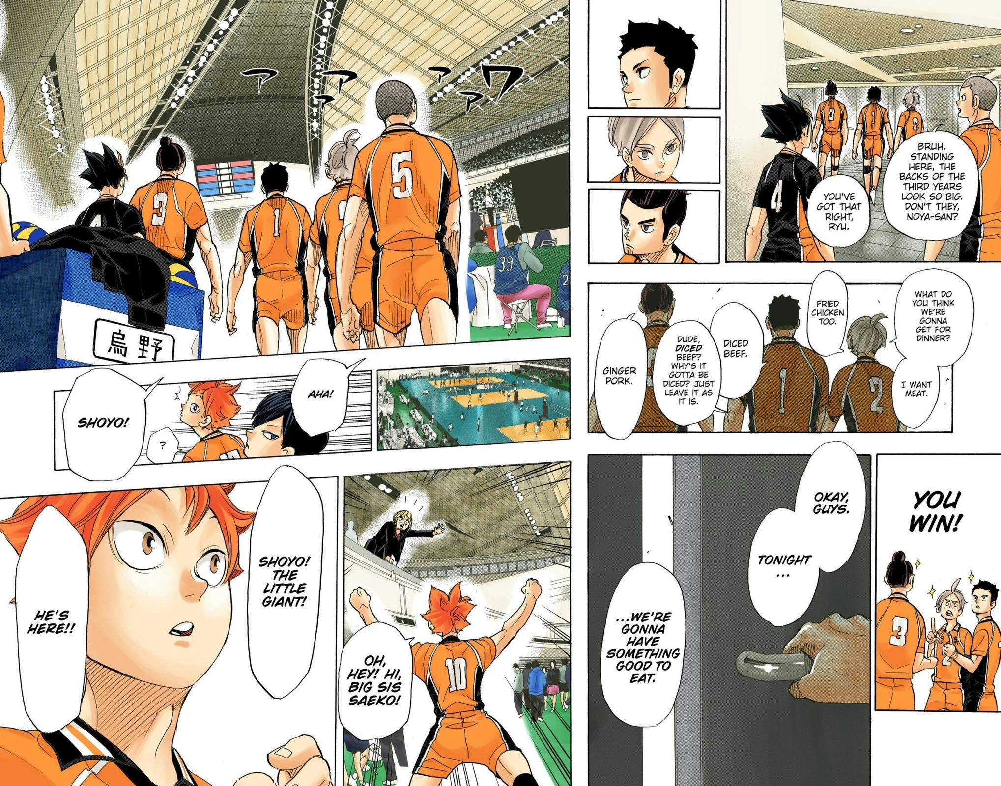 Read Haikyu!! (en) Manga Online