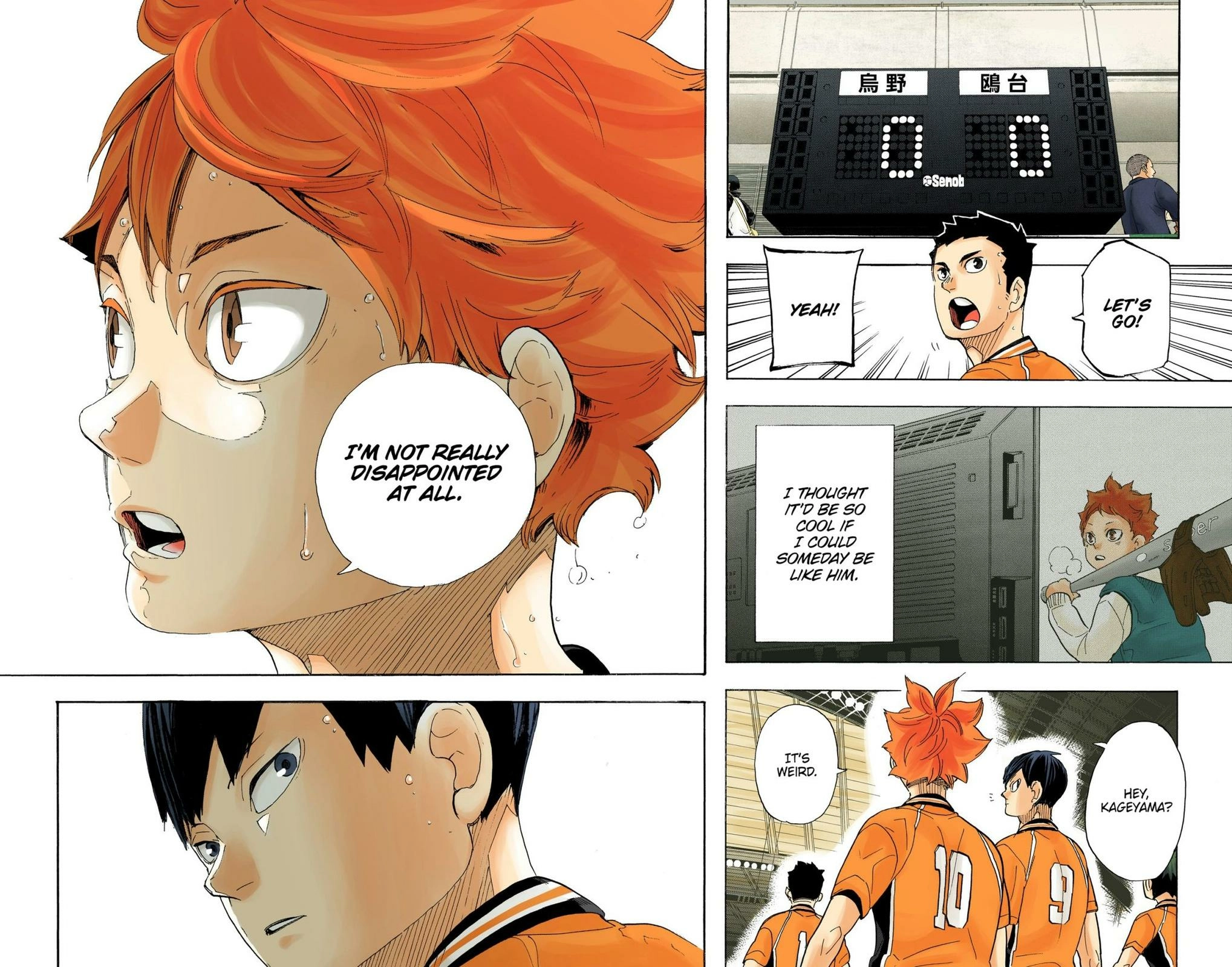 Read Haikyu!! (en) Manga Online