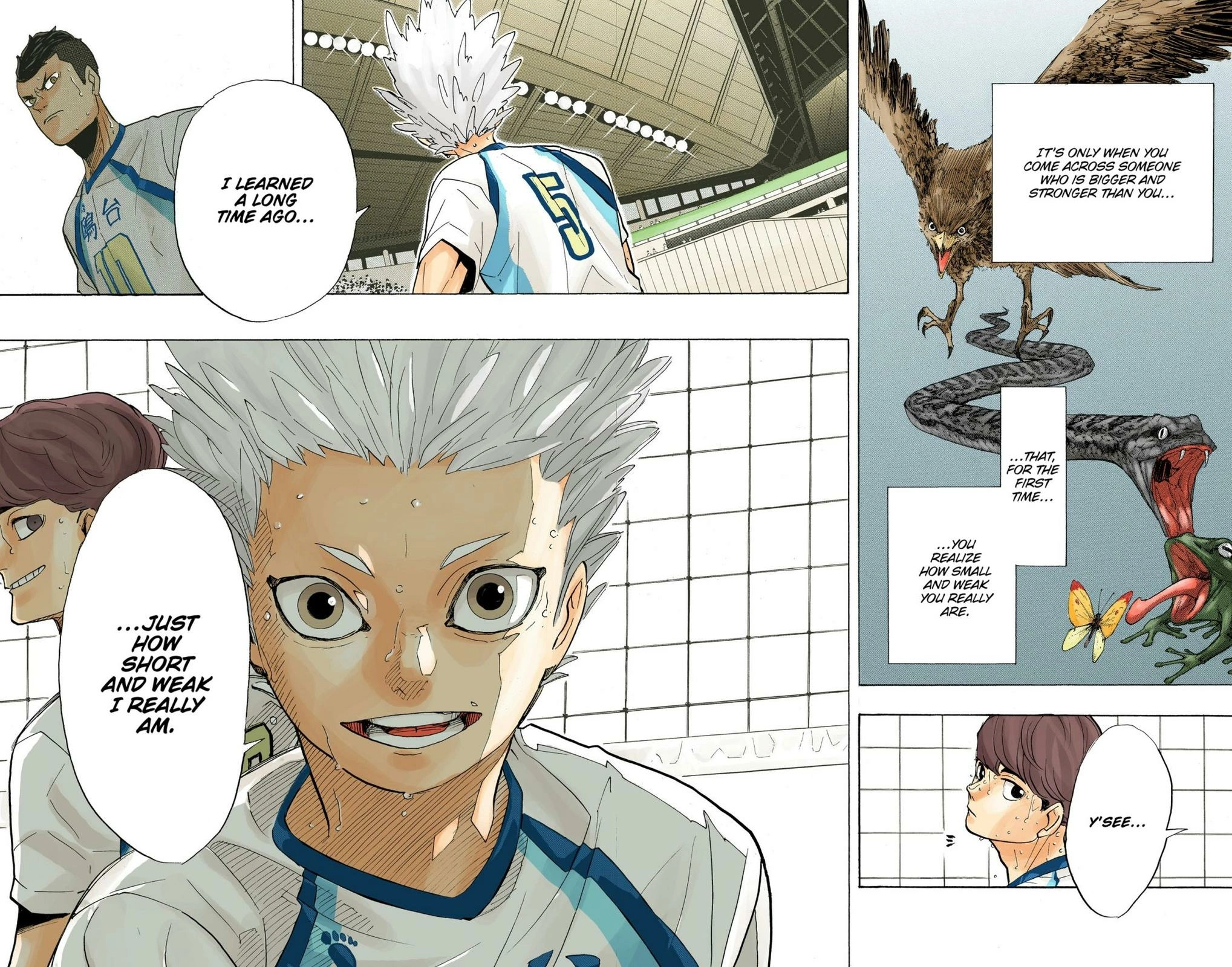 Read Haikyu!! (en) Manga Online