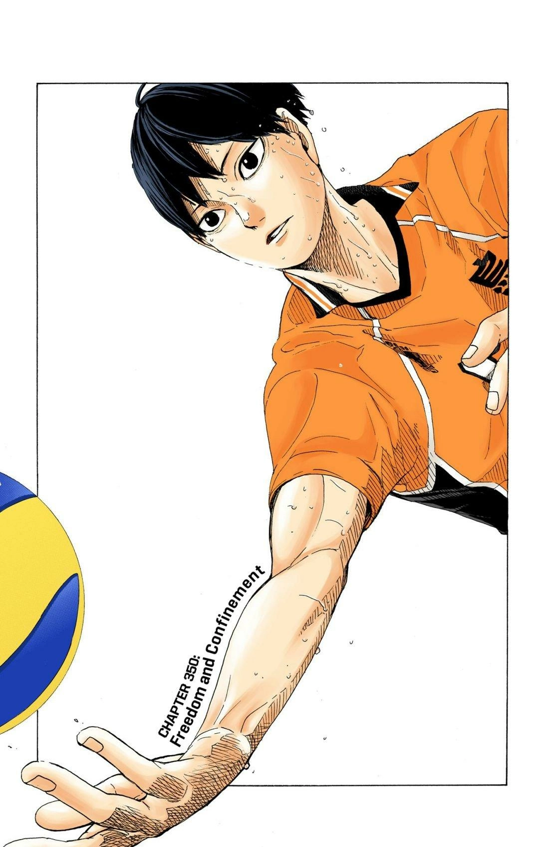 Read Haikyu!! (en) Manga Online