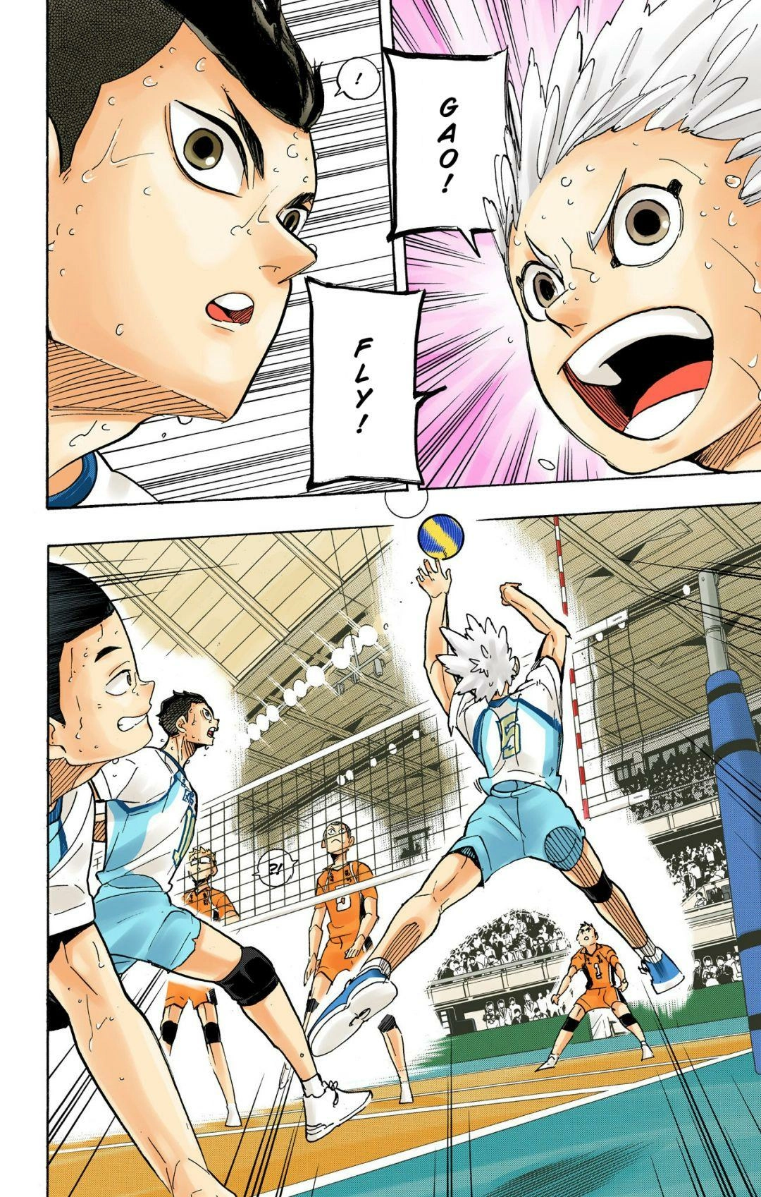 Read Haikyu!! (en) Manga Online
