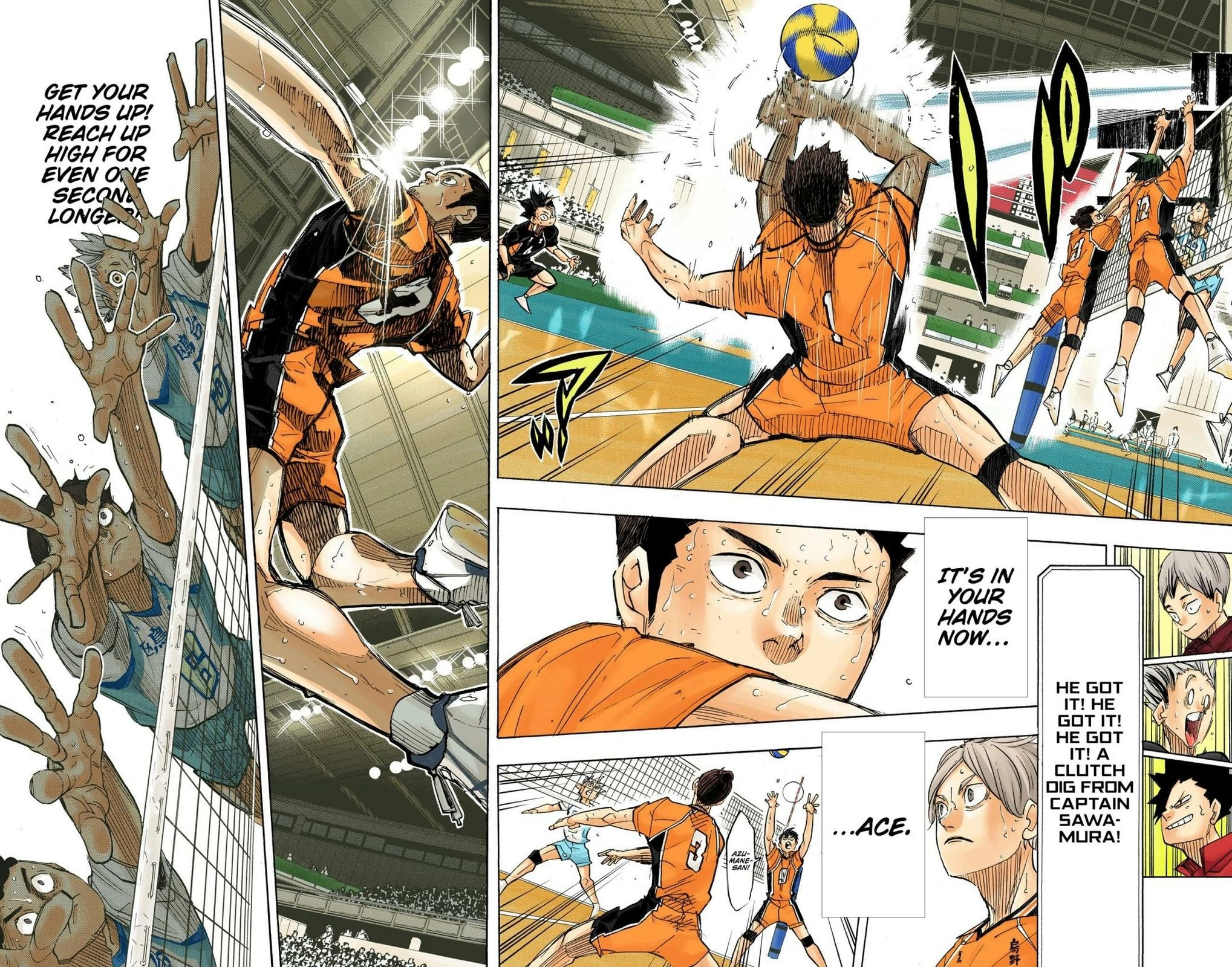 Read Haikyu!! (en) Manga Online