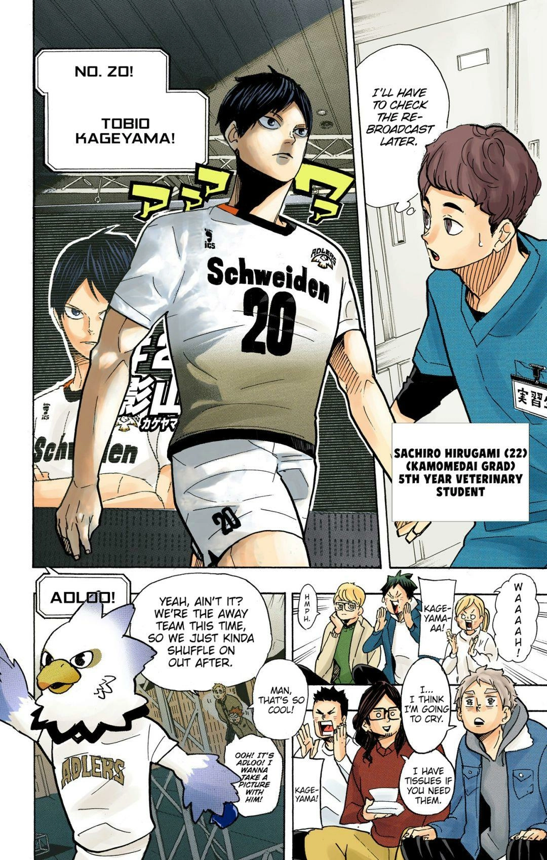 Read Haikyu!! (en) Manga Online