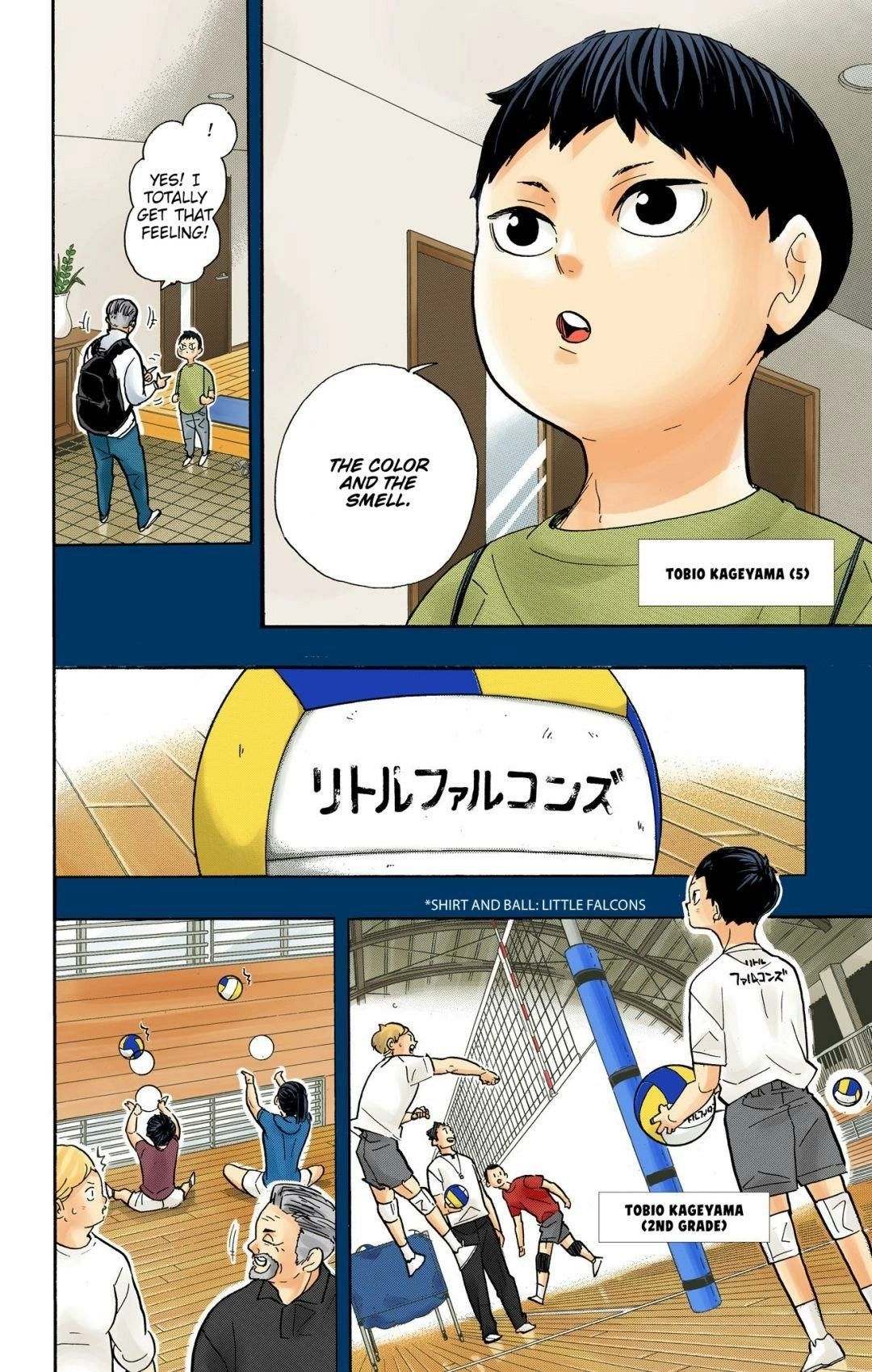 Read Haikyu!! (en) Manga Online