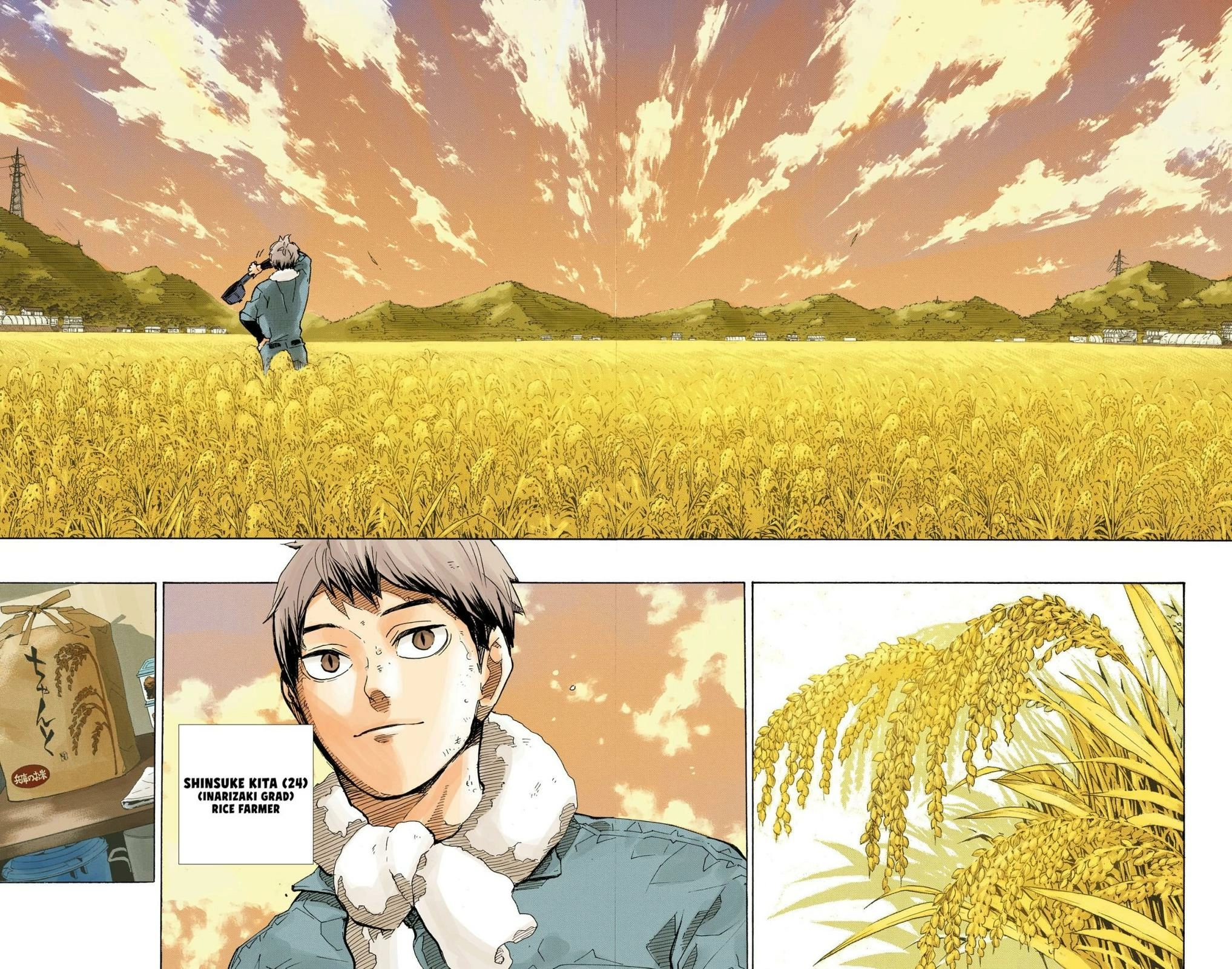 Read Haikyu!! (en) Manga Online