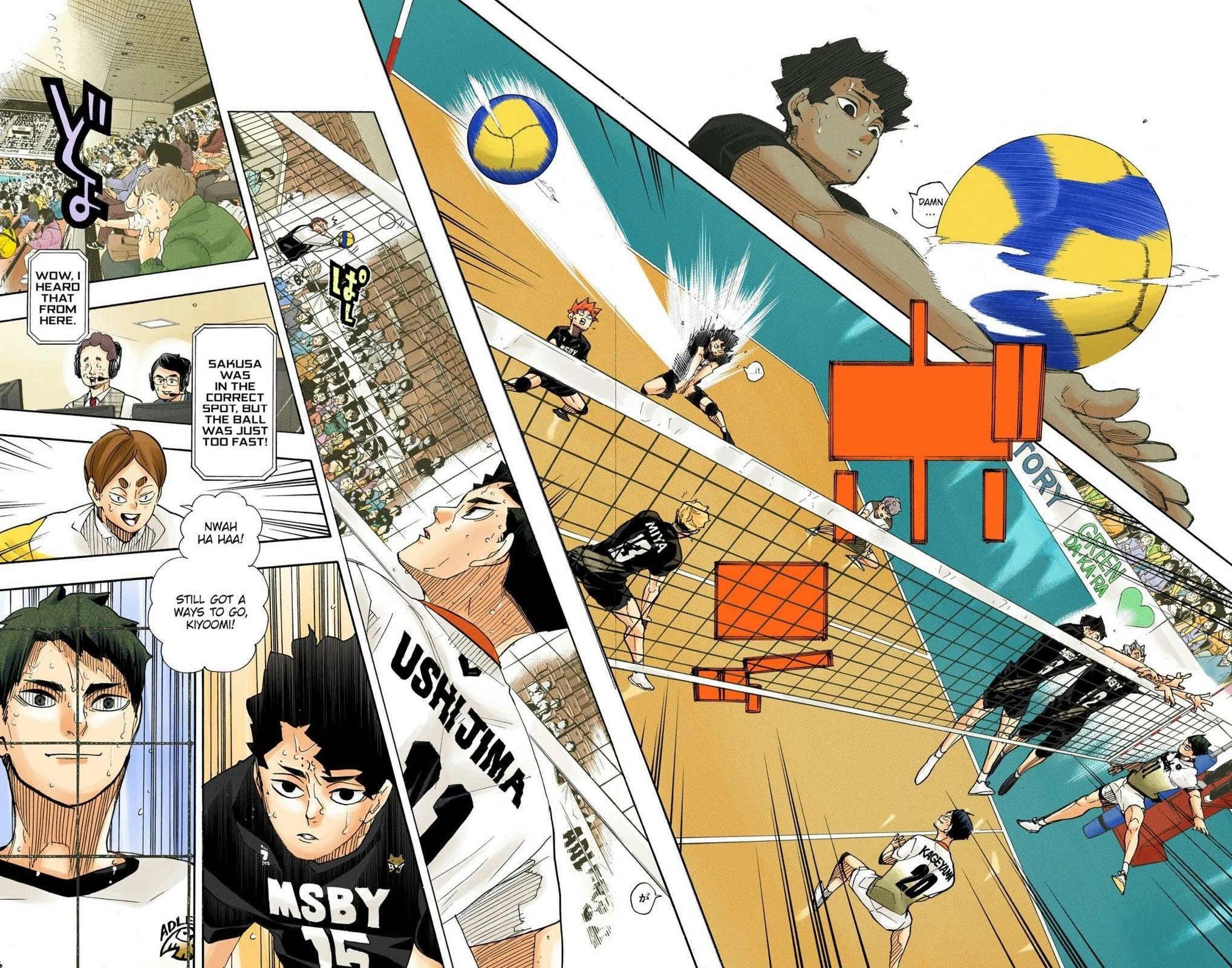Read Haikyu!! (en) Manga Online