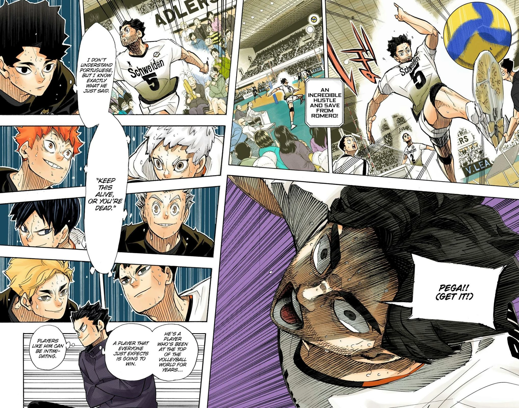 Read Haikyu!! (en) Manga Online