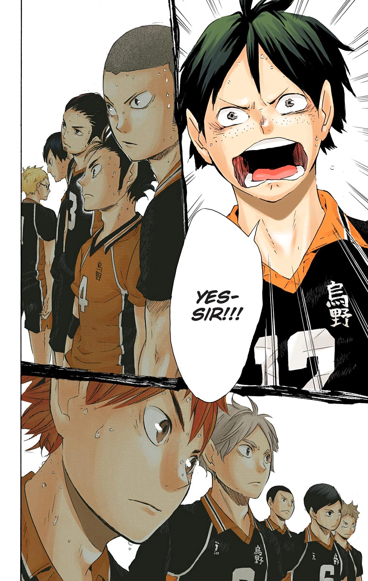 Read Haikyu!! (en) Manga Online