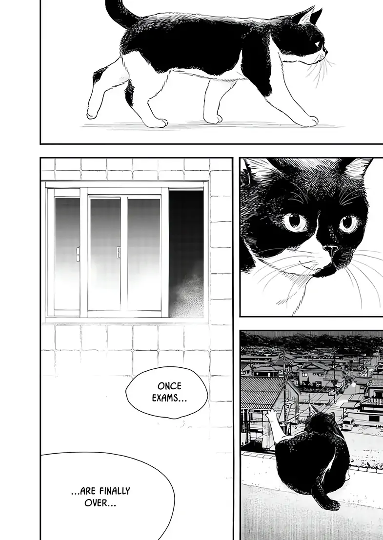 Read Insomniacs After School (en) Manga Online