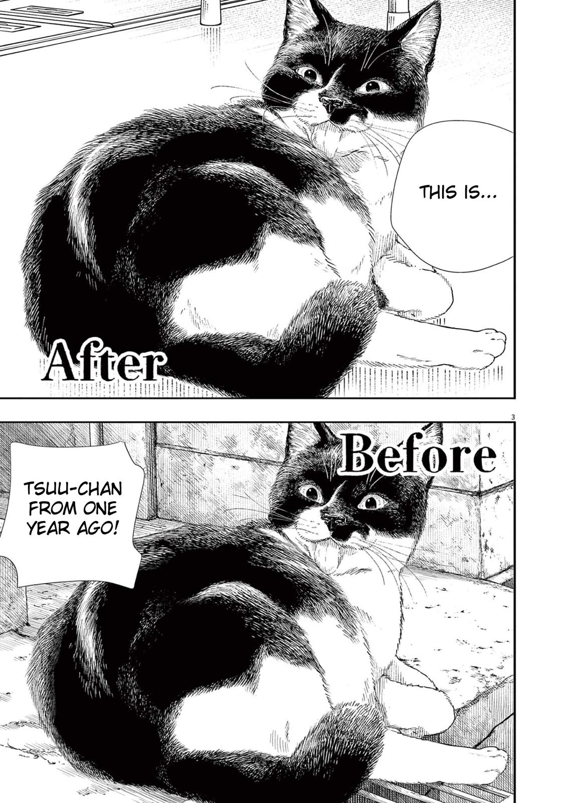 Read Insomniacs After School (en) Manga Online